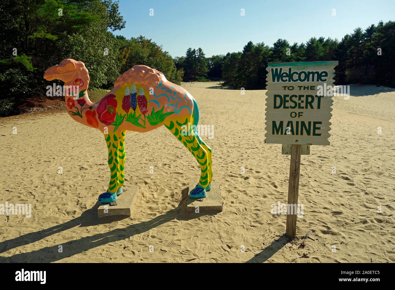 The desert of Maine Stock Photo