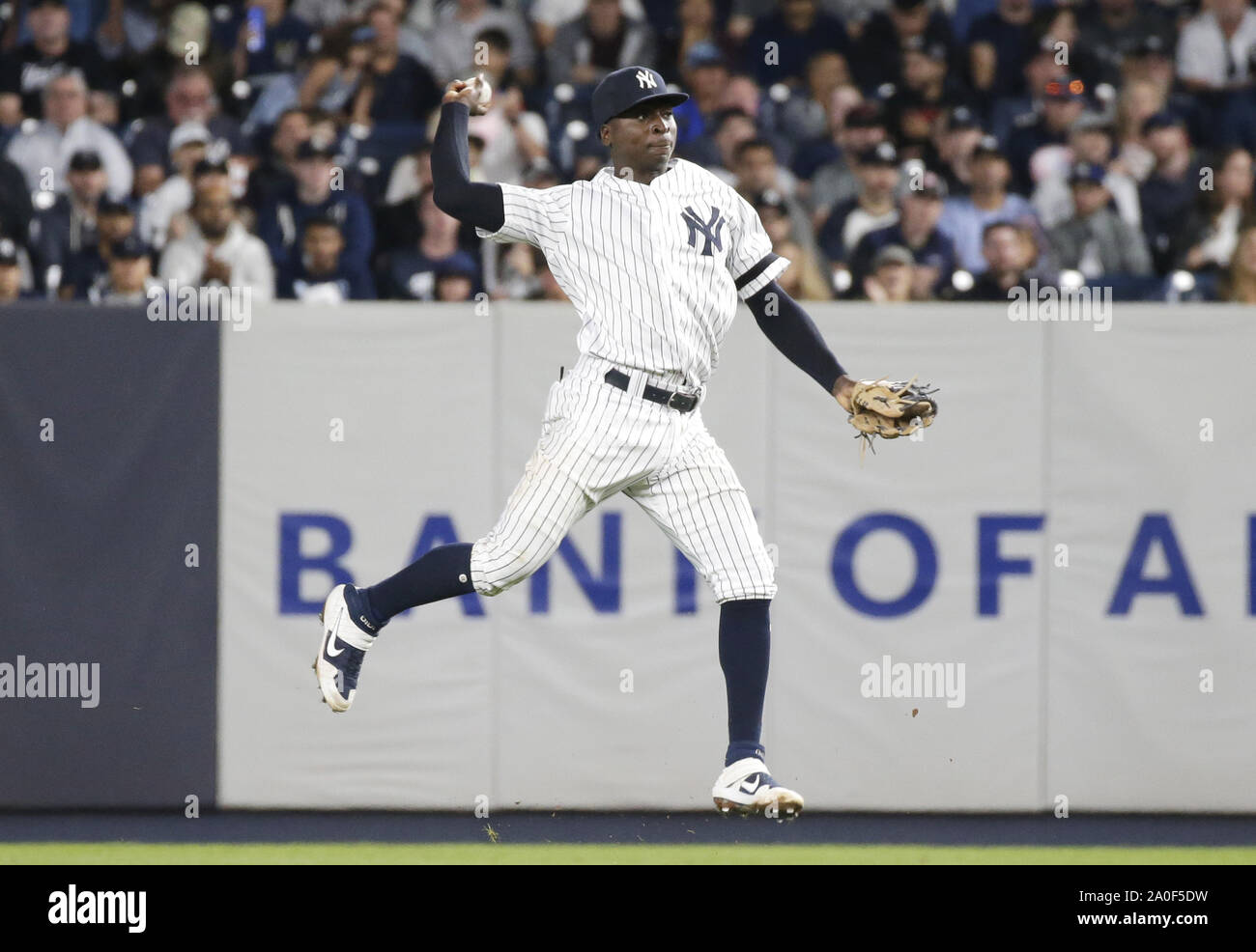 629 New York Yankees Shortstop Didi Gregorius 18 Stock Photos, High-Res  Pictures, and Images - Getty Images