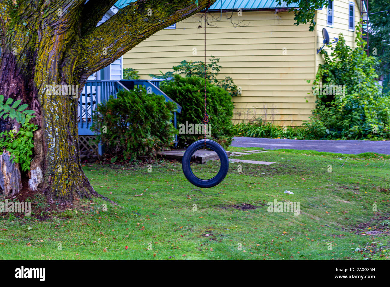 A tire swing hangs from a rope on a tree in a residential front yard ...