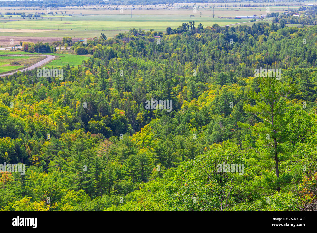 Rocky forested hills in Gatineau Park, Quebec form part of the Canadian Shield and are covered with mixed forests including evergreen trees. Stock Photo