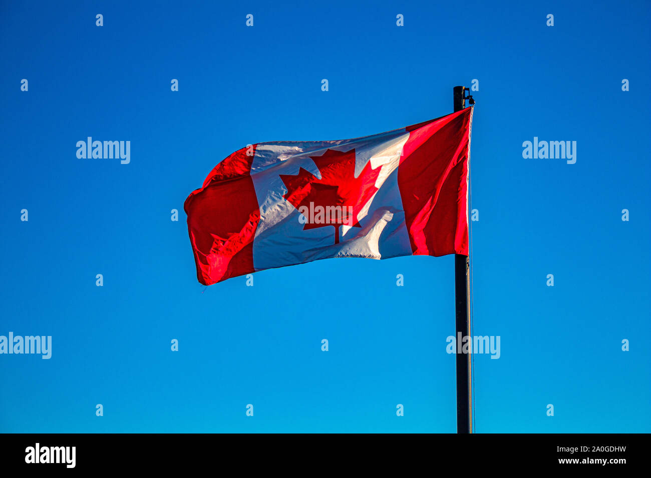 A Canadian flag blows on its flagpole in the wind. The red and white flag  of Canada is adorned with a maple leaf and is here viewed in bright color  Stock Photo -