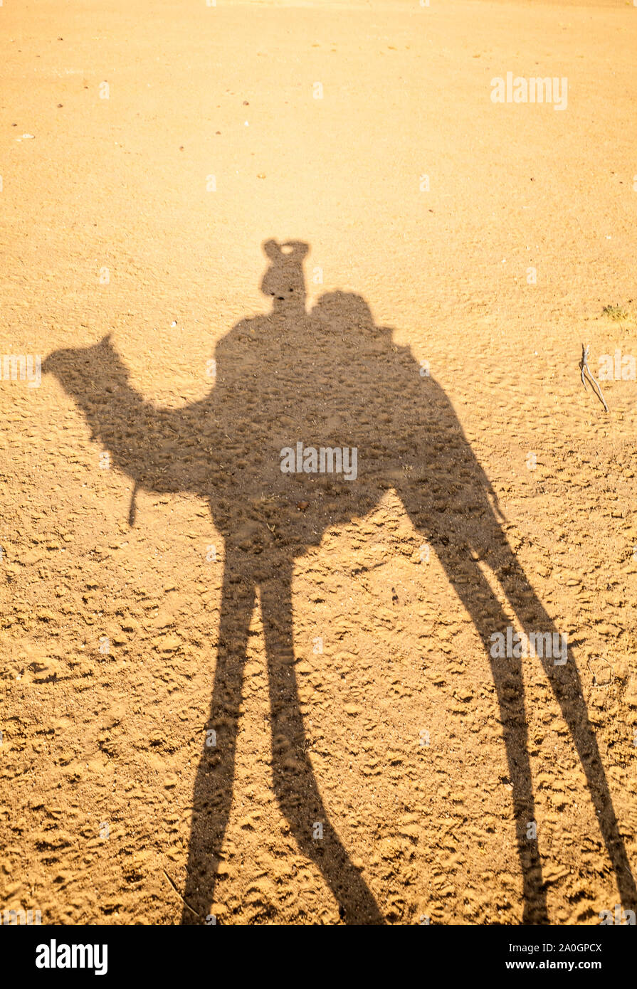 The shadow of a man riding a camel and taking a picture of his shadow on the barren desert ground. Thar Desert, Rajashan, India. Stock Photo
