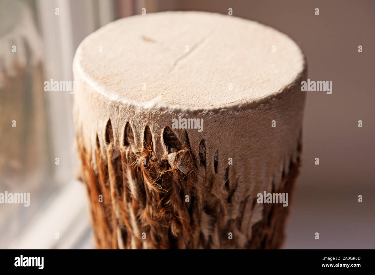traditional drum with animal skins and fur Stock Photo Alamy