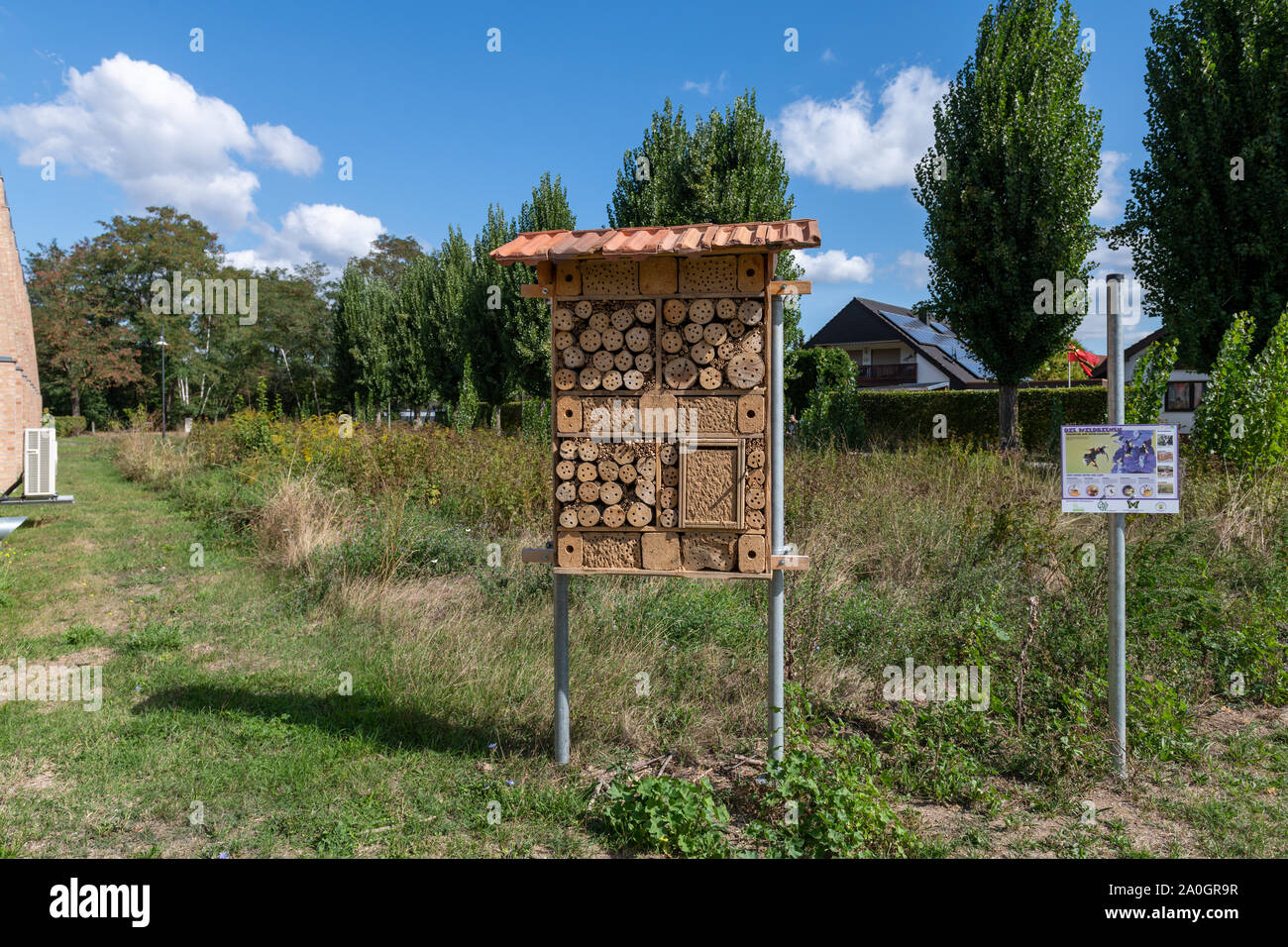Nature, Germany, Rhineland Palatinate, Jockgrim, Verbands Community Administration, September 19. Stock Photo