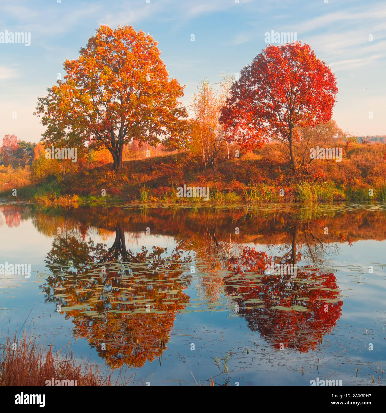 Amazing autumn landscape, forest lake with reflection. Stock Photo