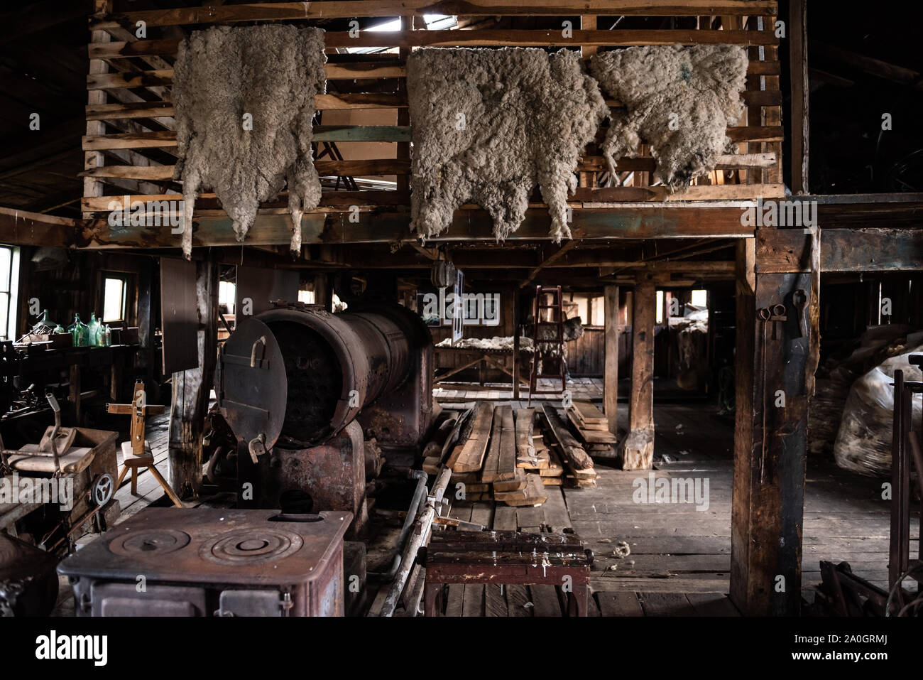 Elements and machinery used to shear sheep at the beginning of the 20th century Stock Photo