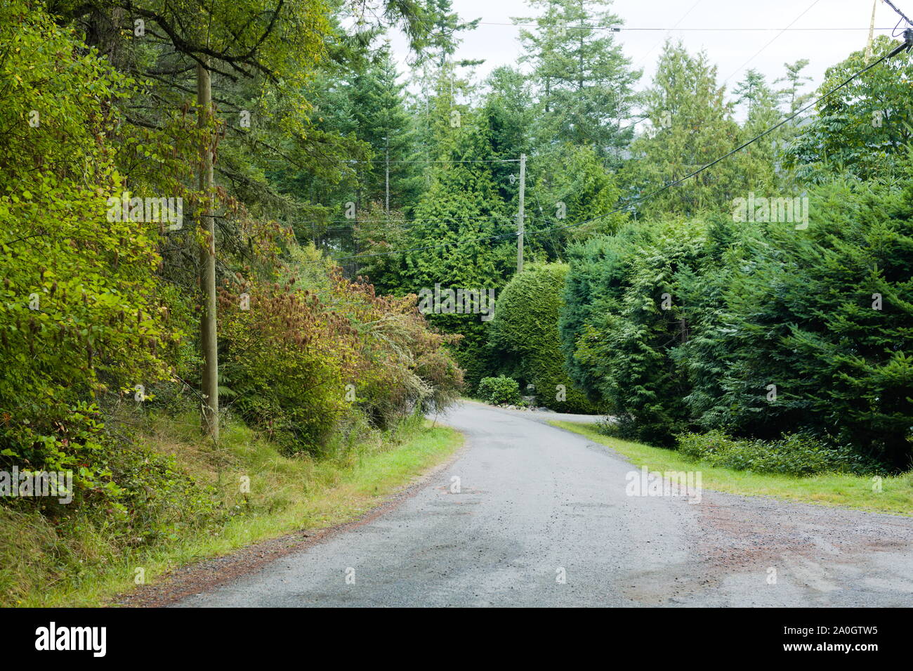 Country road, island life in Trincomali, North Pender Island, British Columbia, Canada Stock Photo