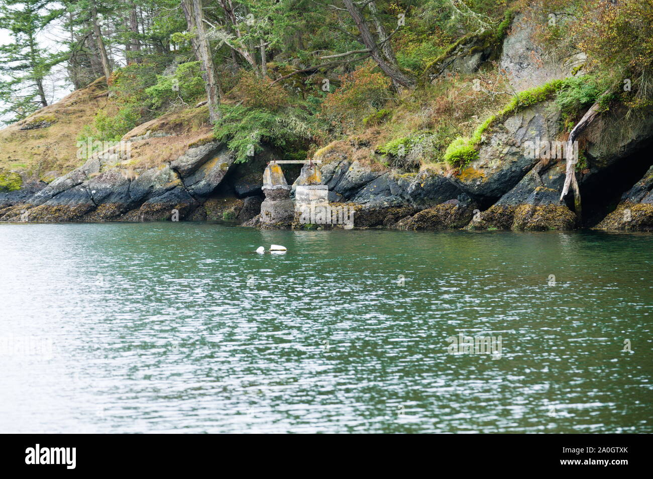 Old dock supports at Peter Cove in North Pender Island, British Columbia, Canada