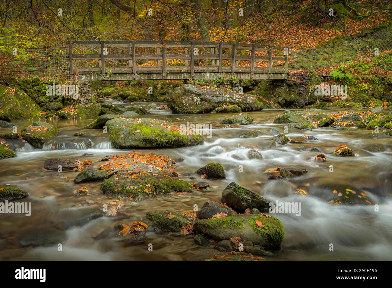 Stock Ghyll Force waterfalls Bridge Ambleside Lake District Cumbria UK in autun Stock Photo