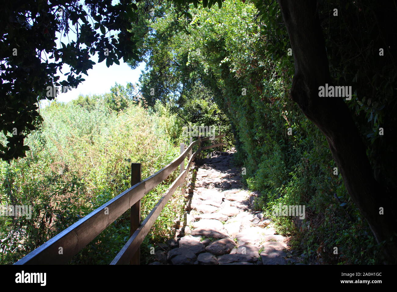 Hiking in the nature Stock Photo - Alamy