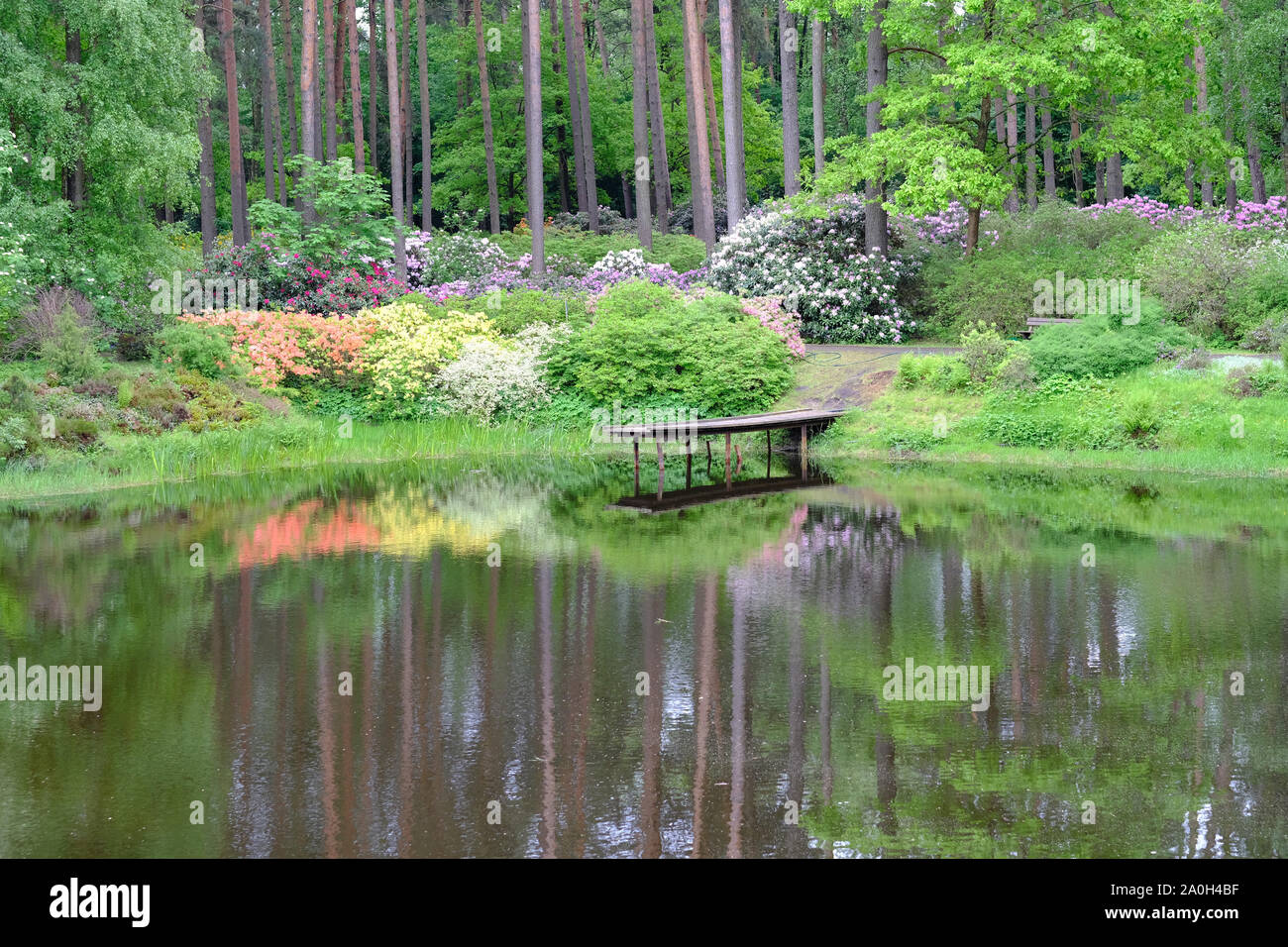 Pond landscape design hi-res stock photography and images - Alamy