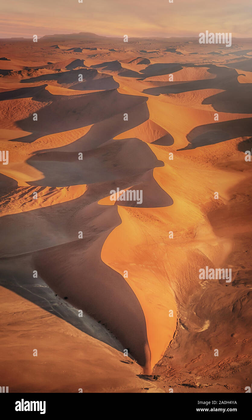 Aerial view of beautiful sand dunes in golden light with dramatic shapes, lines, curves and shadows, in the Namib Desert, Namibia. Vertical image. Stock Photo
