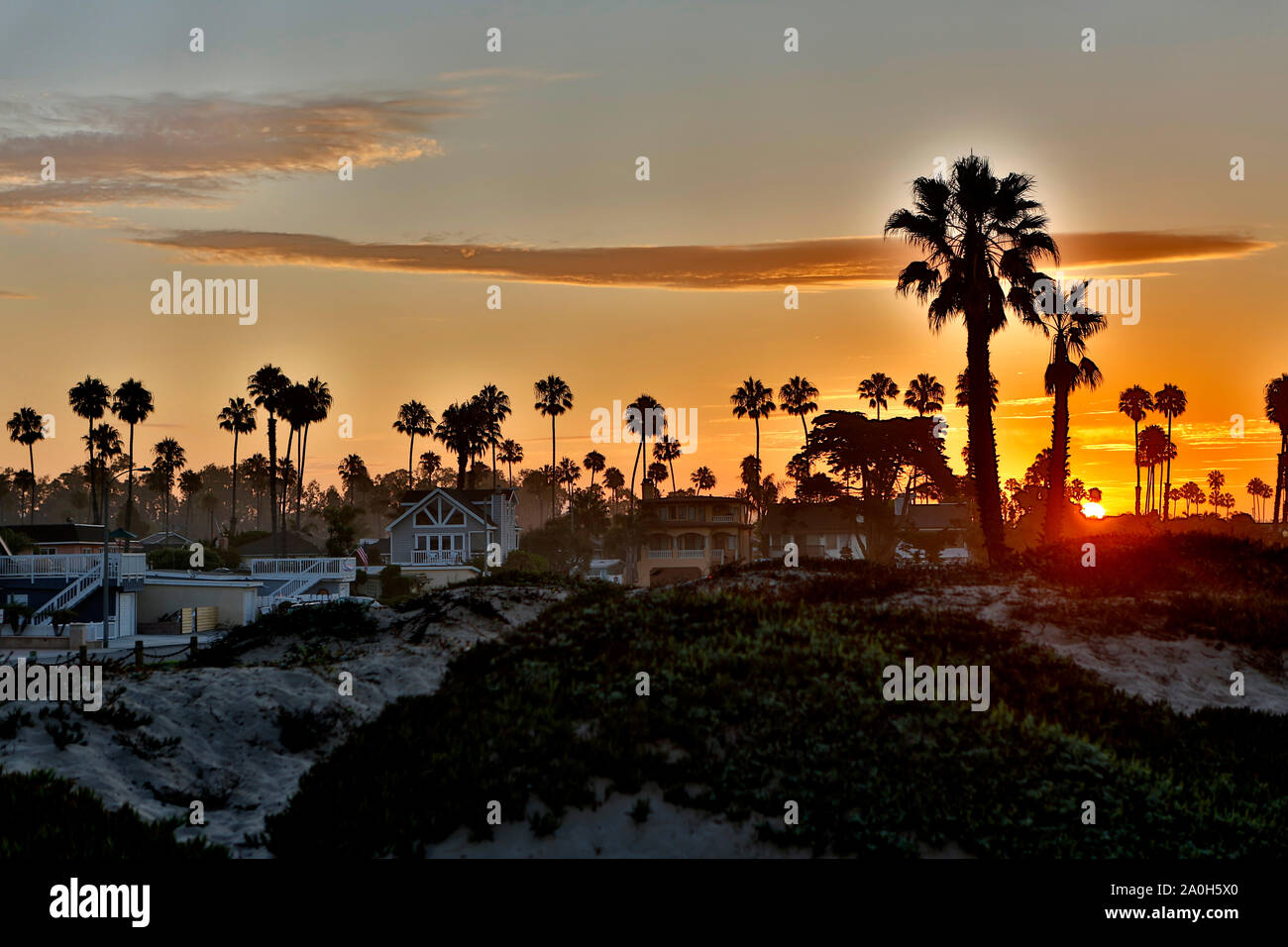 Sonnenaufgang hinter dem Palmenstrand am südlichen Ende von Big Sur in Kalifornien. Stock Photo