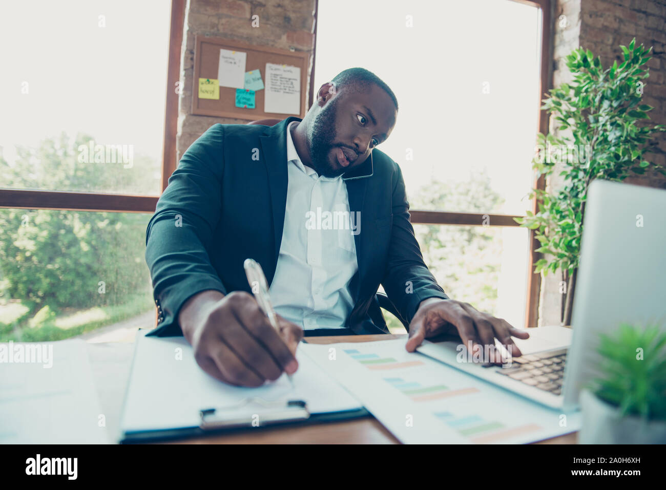 Handsome serious business shark, clerk, assistant mulato man in jacket