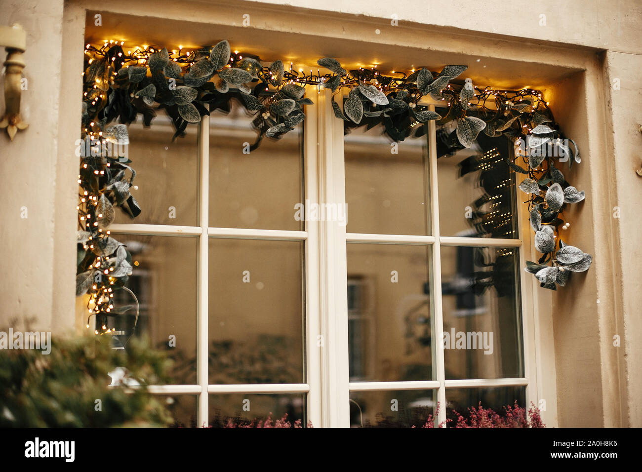 festive lights store