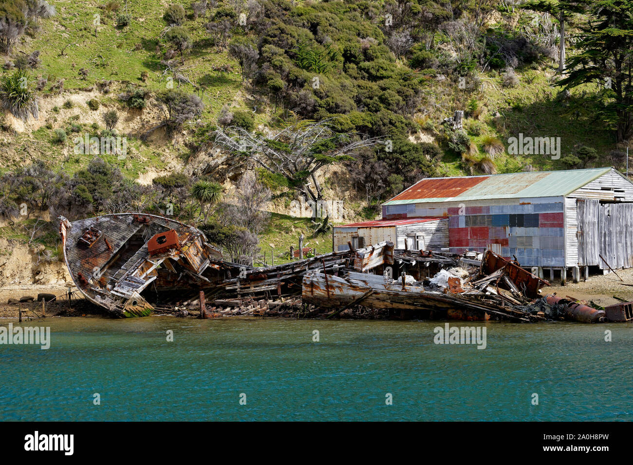 Shipwreck on the foreshore, Marlborough Sounds, New Zealand. Stock Photo