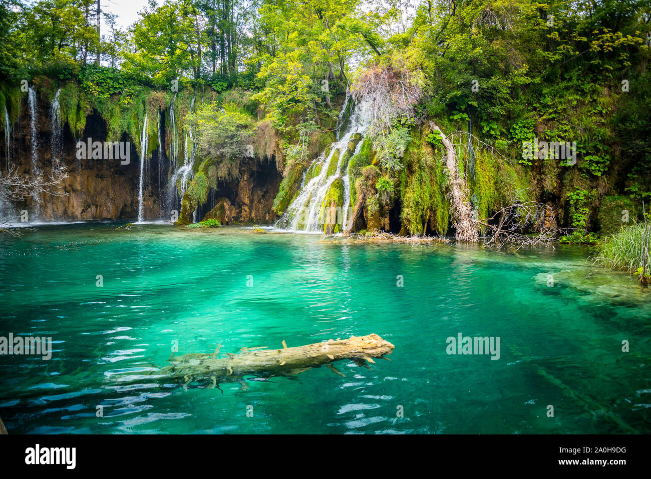 Amazing Waterfalls With Crystal Clear Water In The Forest In Plitvice