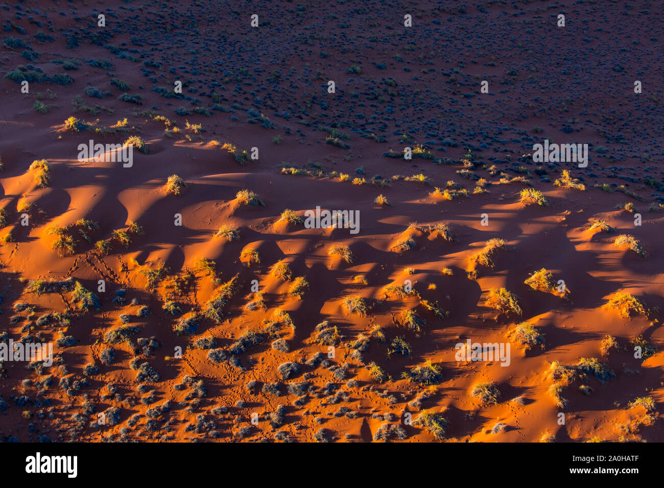 Namib visual data 7