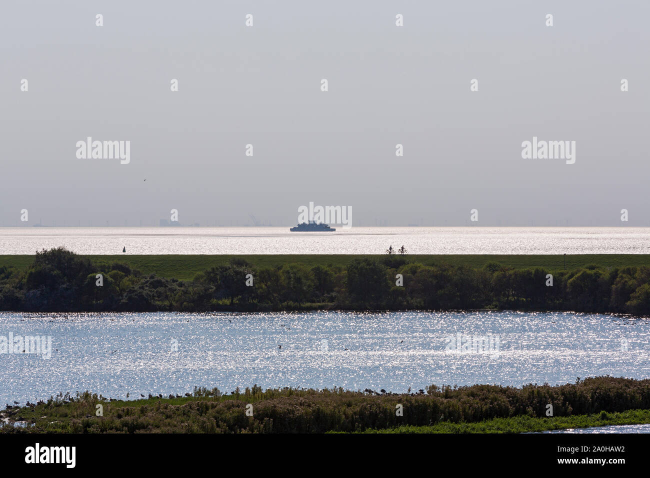 Norderney; Südstrandpolder, Ruhezone, Vogelschutzgebiet, Watt, Deich, Radfahrer, Fähre Stock Photo