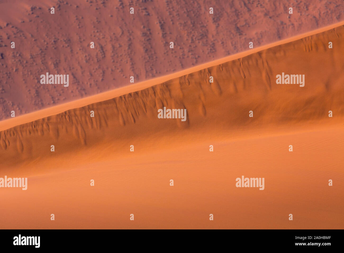 Namib intelligence overview