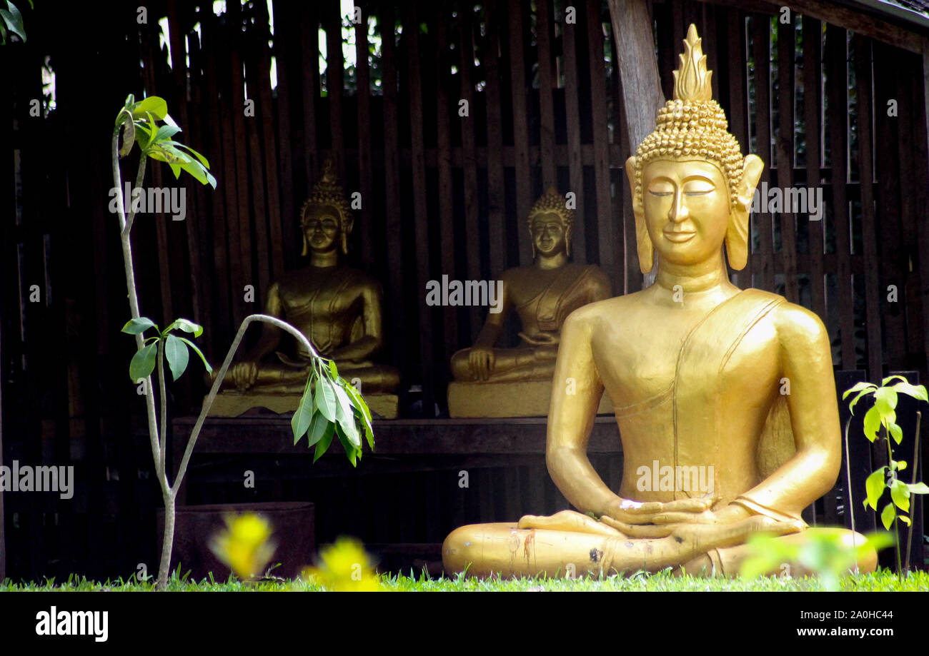Golden statue of the Buddha in lotus position in Luang Prabang, Laos Stock Photo