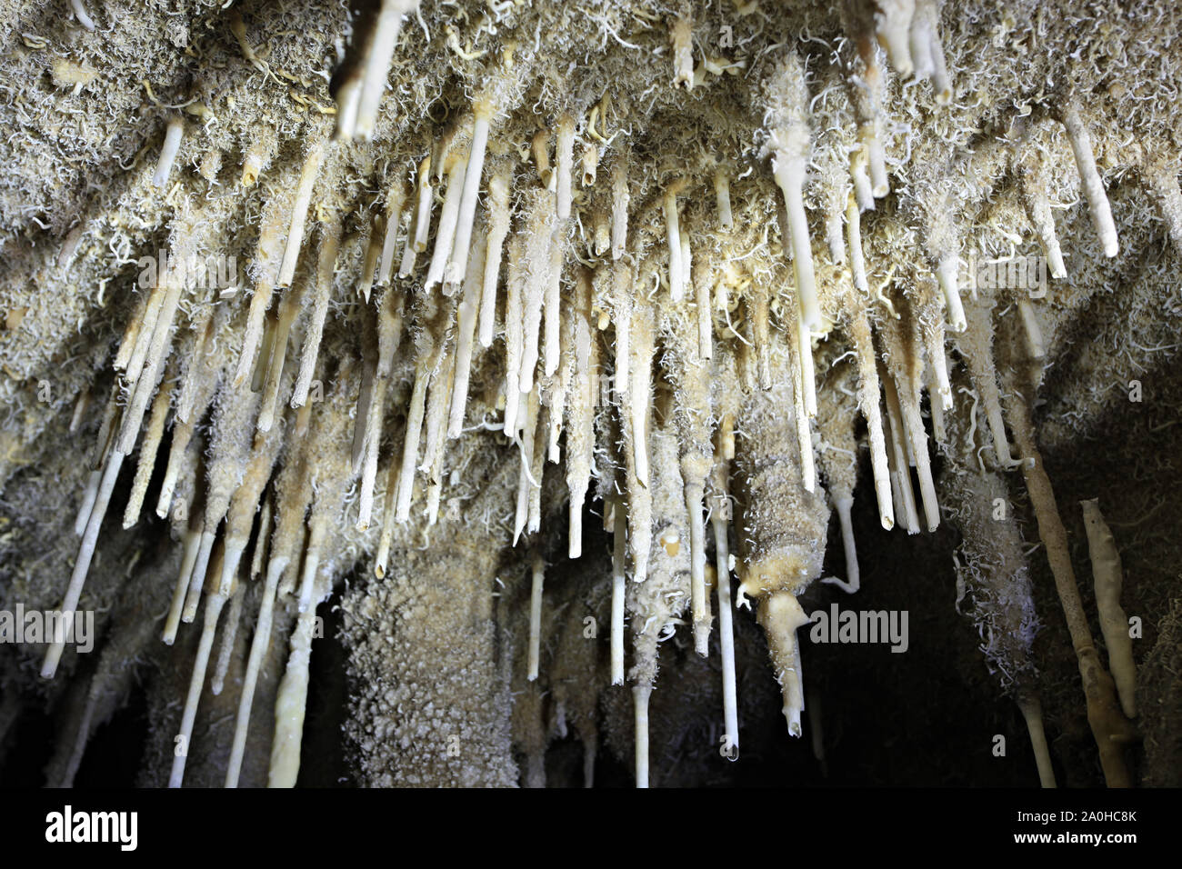 The miracle of the formation of stalagmites in the dark hall, Khao Chang Hai Cave, Trang Province Thailand Stock Photo