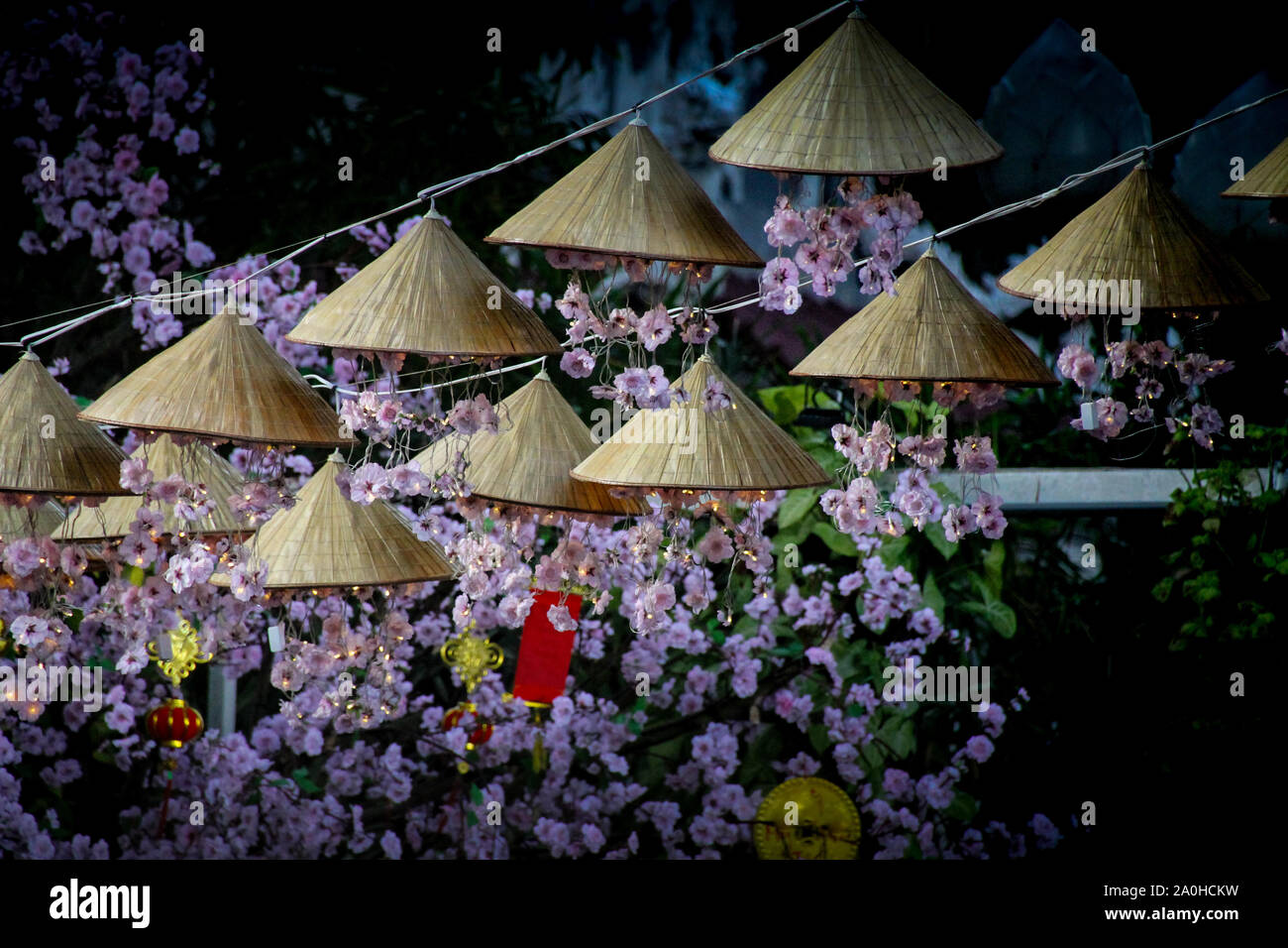 Pink cherry blossoms, fairy lights and asian conical hats as traditional decoration for Tet of Vietnamese New Year Stock Photo