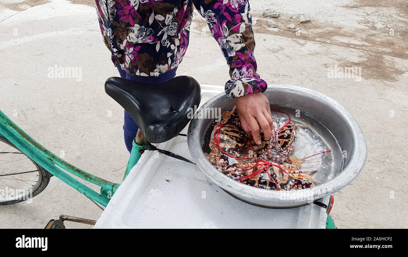 Seafood vendor selling fresh sea crabs in her bicycle along the beach of Hue, Vietnam Stock Photo