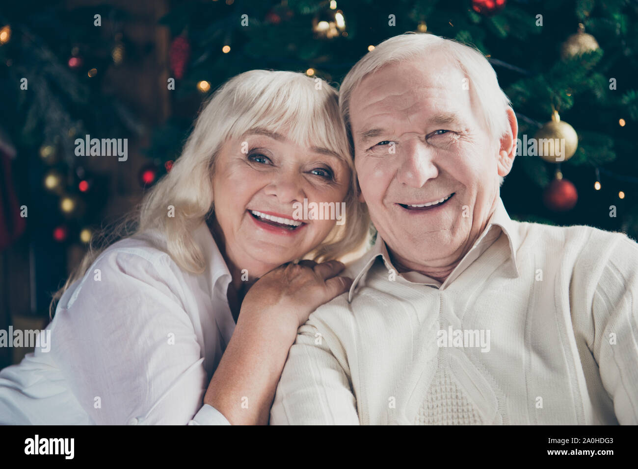 Closeup Portrait Of Two Nice Cheerful Positive Adorable Beautiful Grey