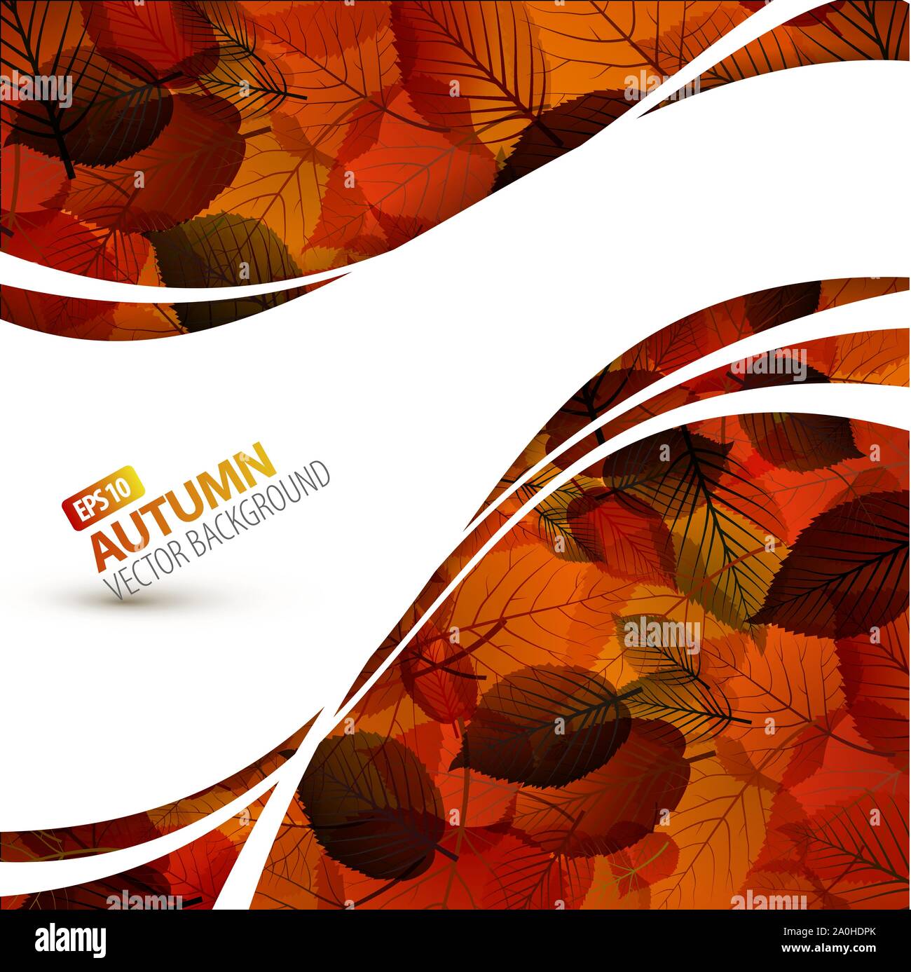 Colorful vector autumn background with place for your text Stock Vector ...