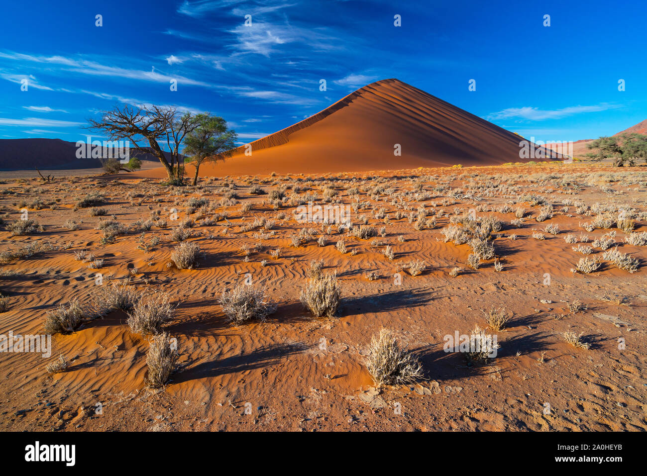 Namib visual data 8