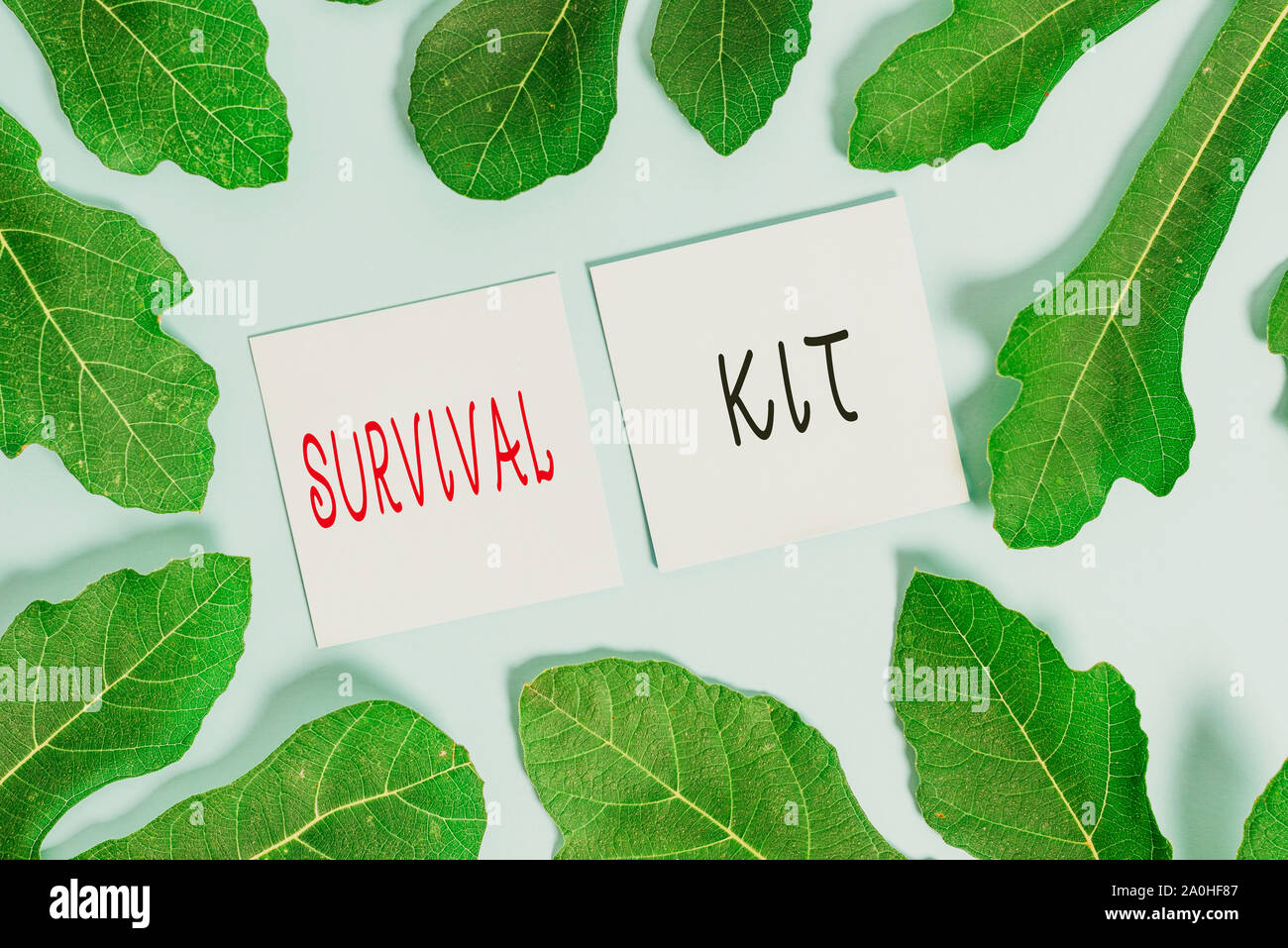 Handwriting text writing Survival Kit. Conceptual photo Emergency Equipment Collection of items to help someone Stock Photo