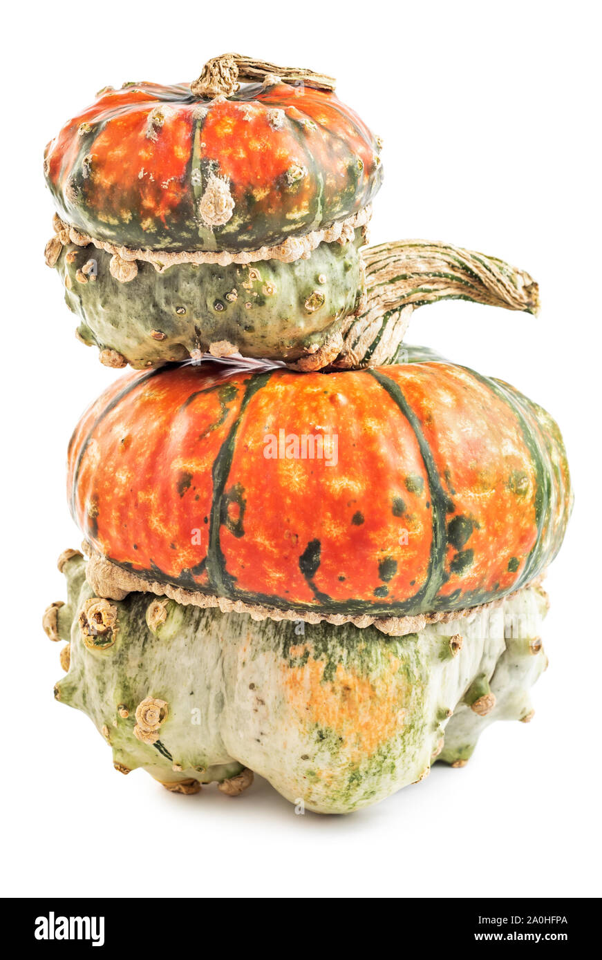 Pair of spooky scary pumpkins isolated on white background Stock Photo ...