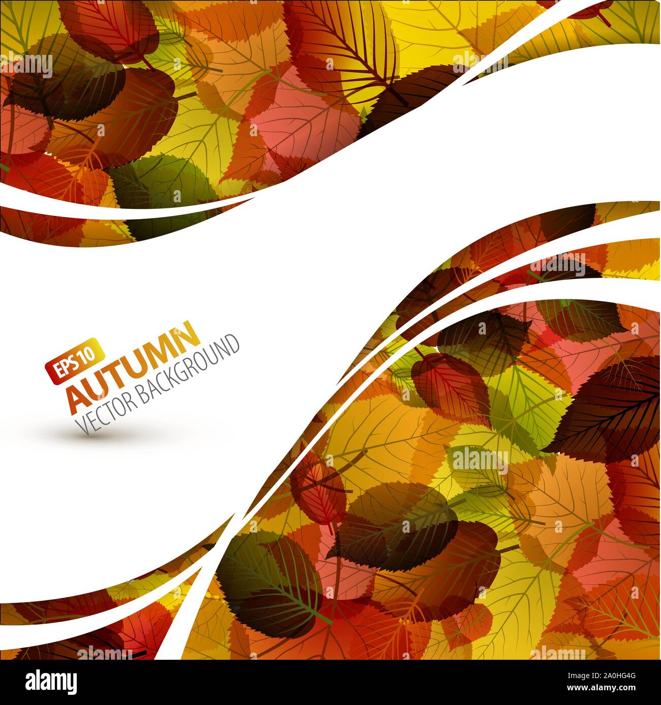 Colorful vector autumn background with place for your text Stock Vector ...