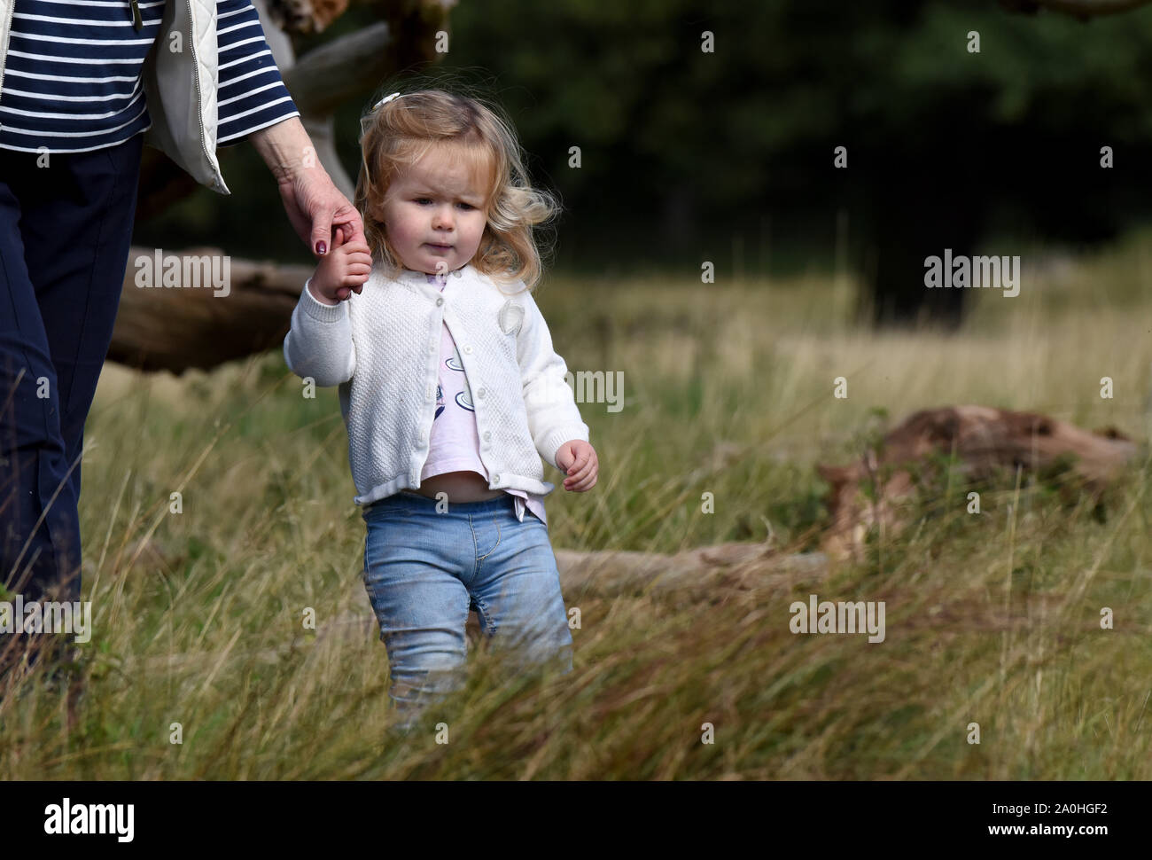 Child toddler girl holding hands with adult while walking Stock Photo