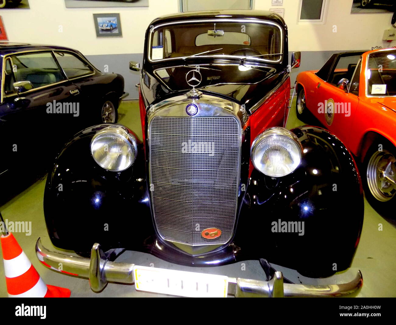 クラシック Therapeutic Potential of Ginsenosides in Anthracycline