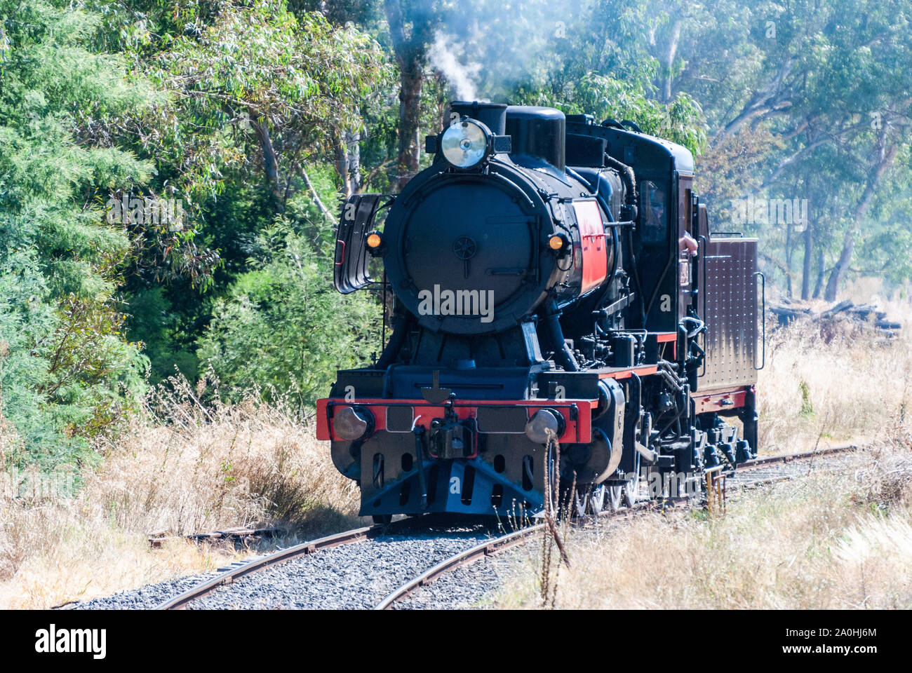 Historic steam train running on Maldon Castlemaine route in the