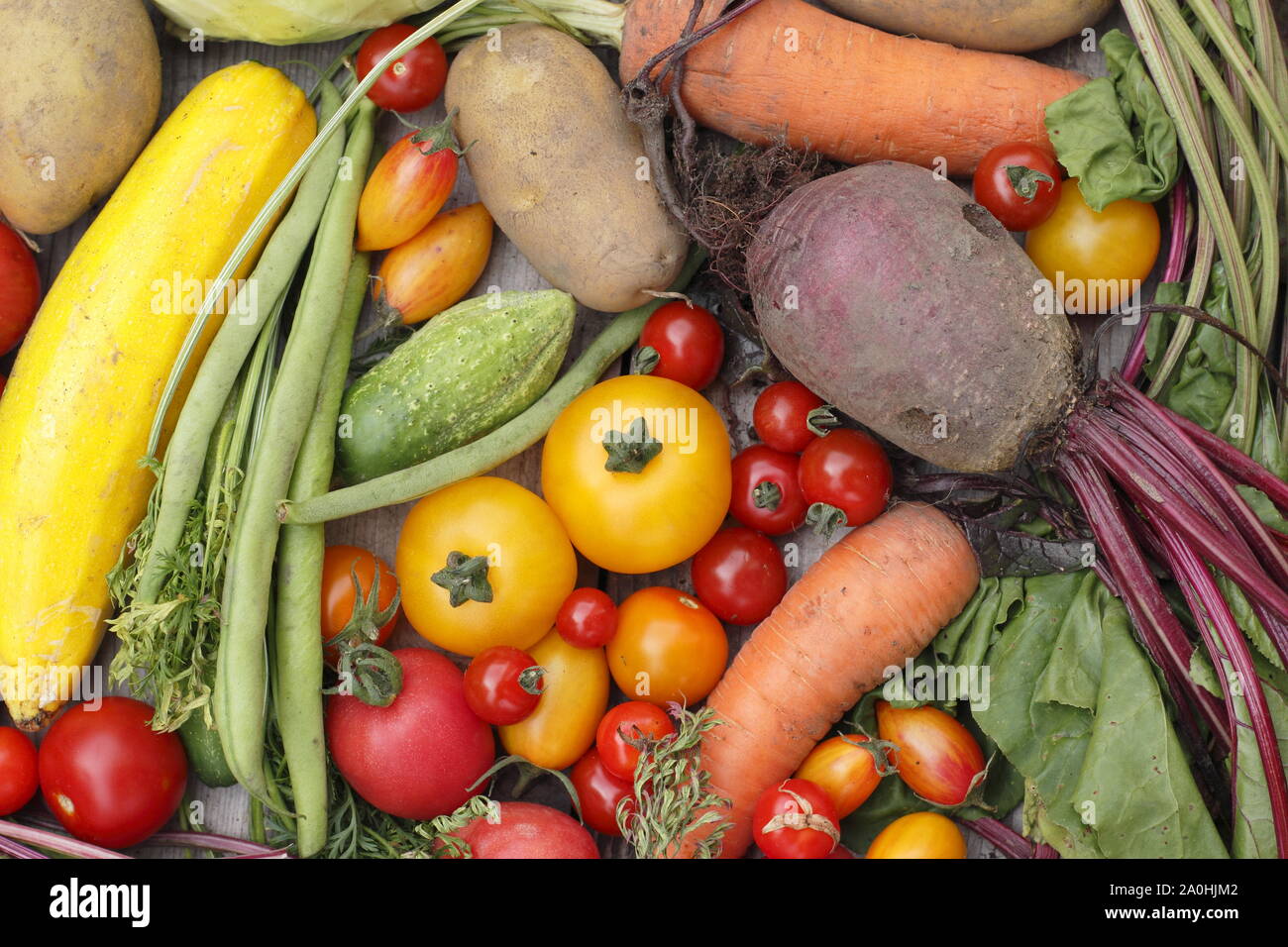 Freshly harvested homegrown organic vegetables including courgette, green beans, beetroot, carrot, potatoes, tomatoes and cucumbers. UK Stock Photo