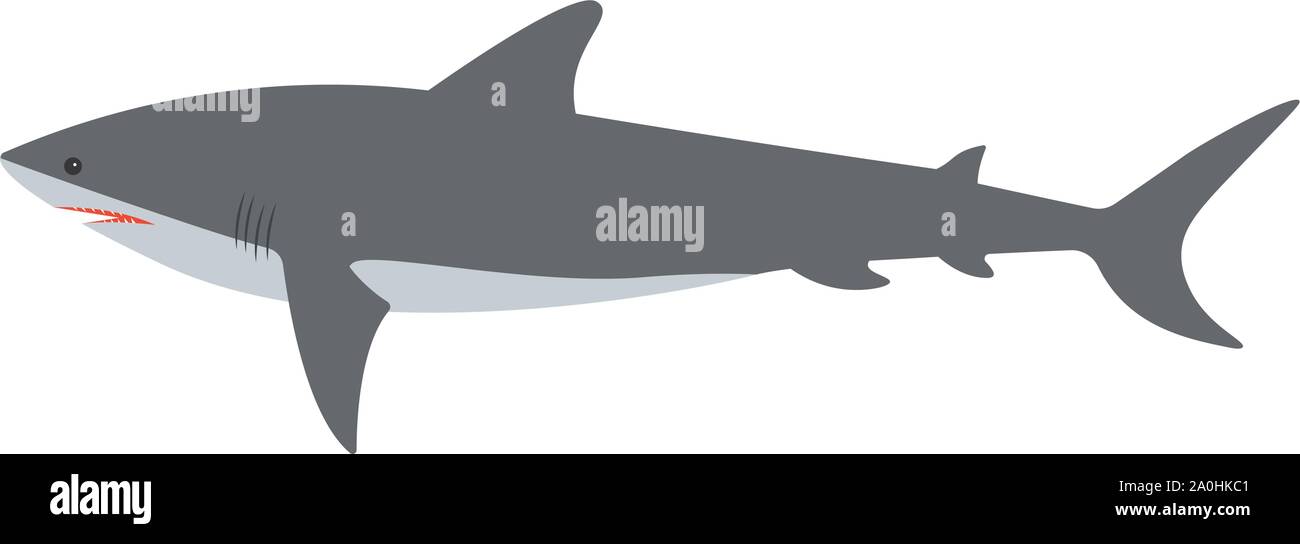 Killer great white shark Stock Vector Images - Alamy