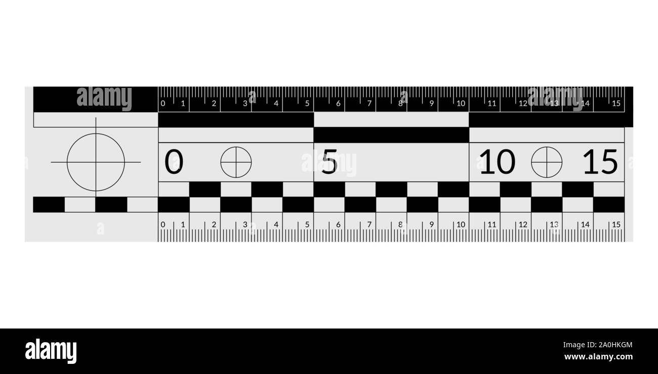 Forensic ruler for measuring crime evidence and gathering a clues Stock Vector