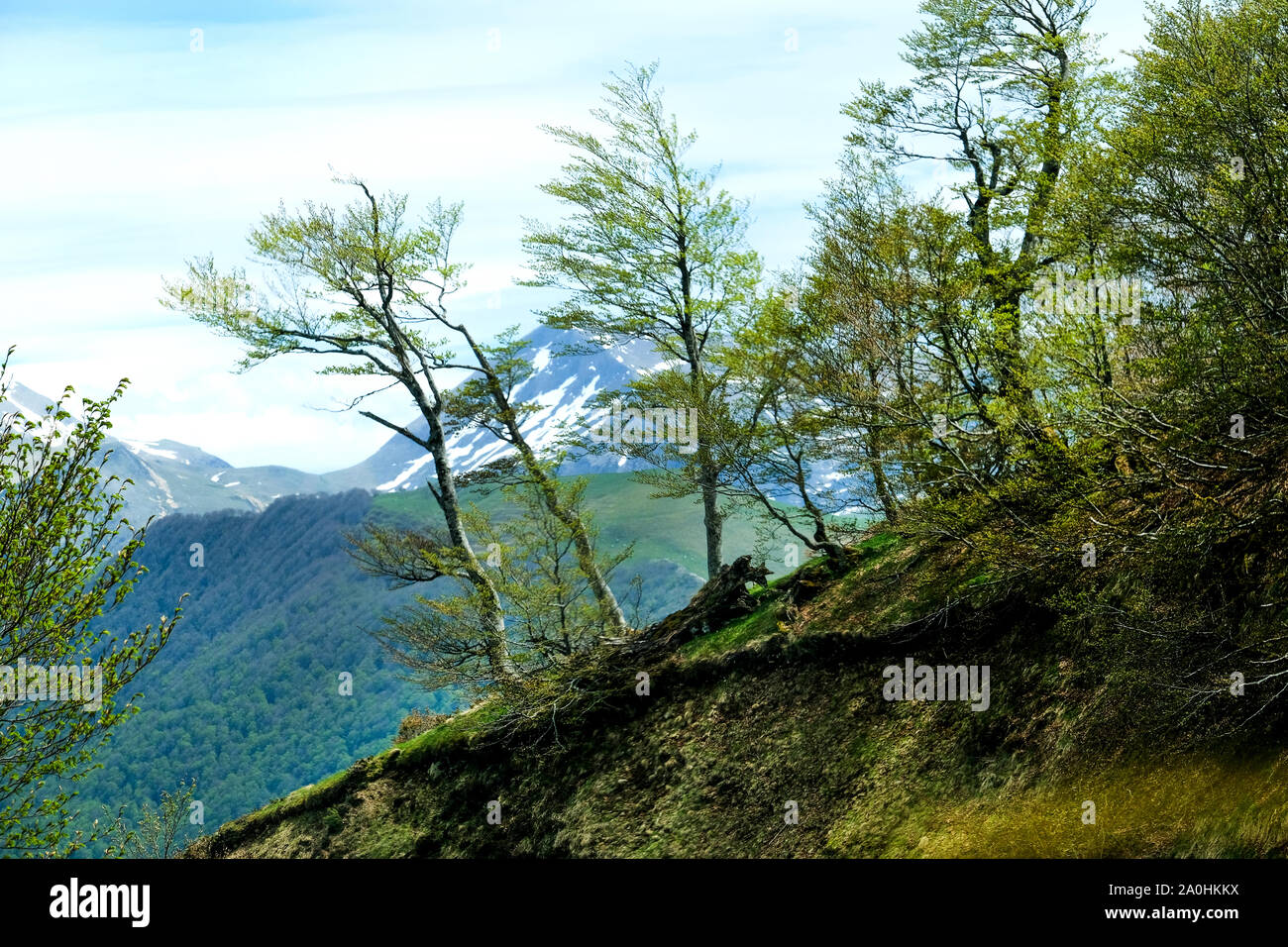 a landscape view of the Pyrenees in southern France, trees, mountains etc Stock Photo