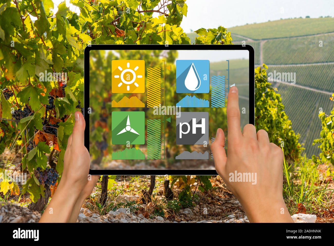 A farmer is holding a tablet. Smart farming and digital agriculture concept Stock Photo