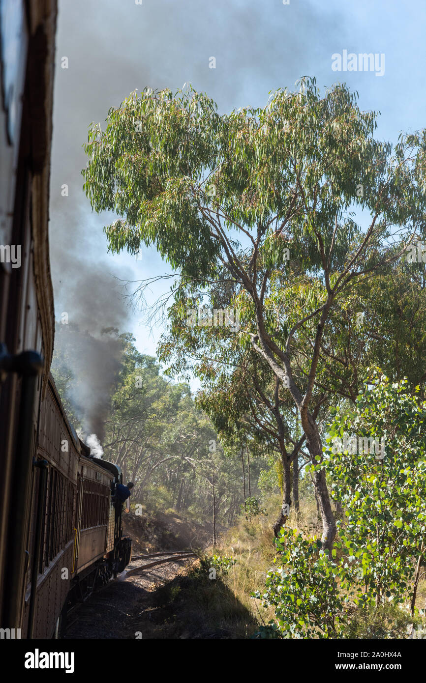 Historic steam train running on Maldon Castlemaine route in the