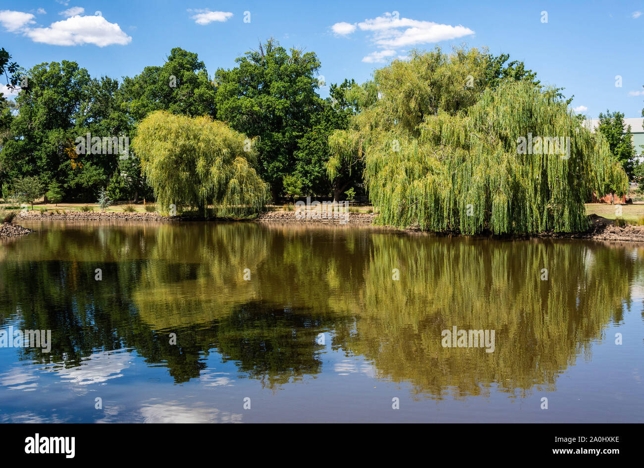 Lake Joanna in Castlemaine Botanical Gardens in Castlemaine, Victoria, Australia. Stock Photo