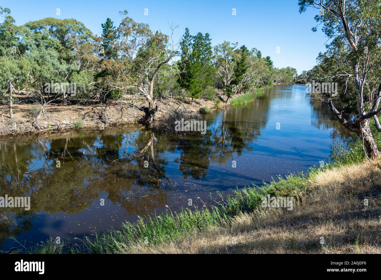 Wimmera river in Little Desert National Park in Victoria, Australia. Stock Photo