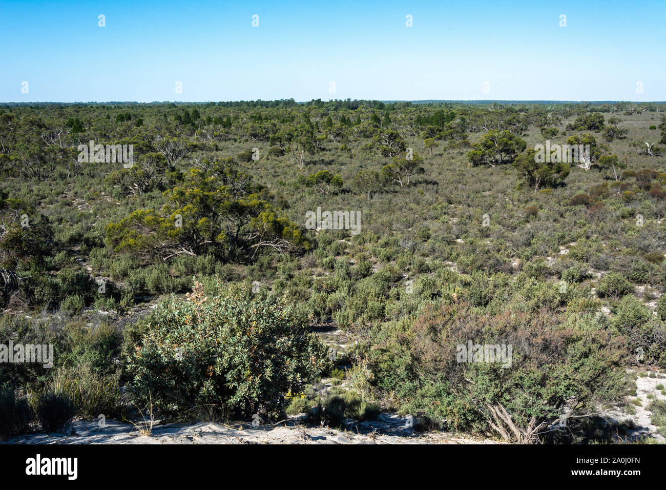 Landscape in Little Desert National Park in Victoria, Australia. Stock Photo