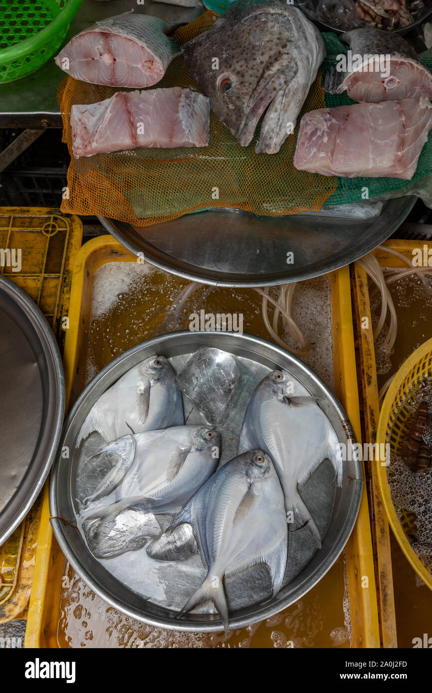 Fish on display in Ho Chi Minh City fish market Fish on display in Ho ...
