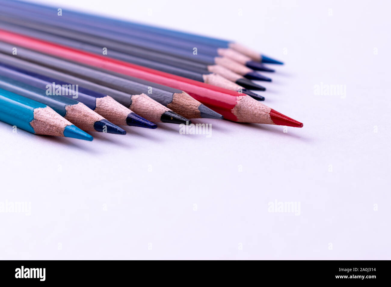 Red pencil standing out from others pencil on white background. Leadership, business success concept. Stock Photo