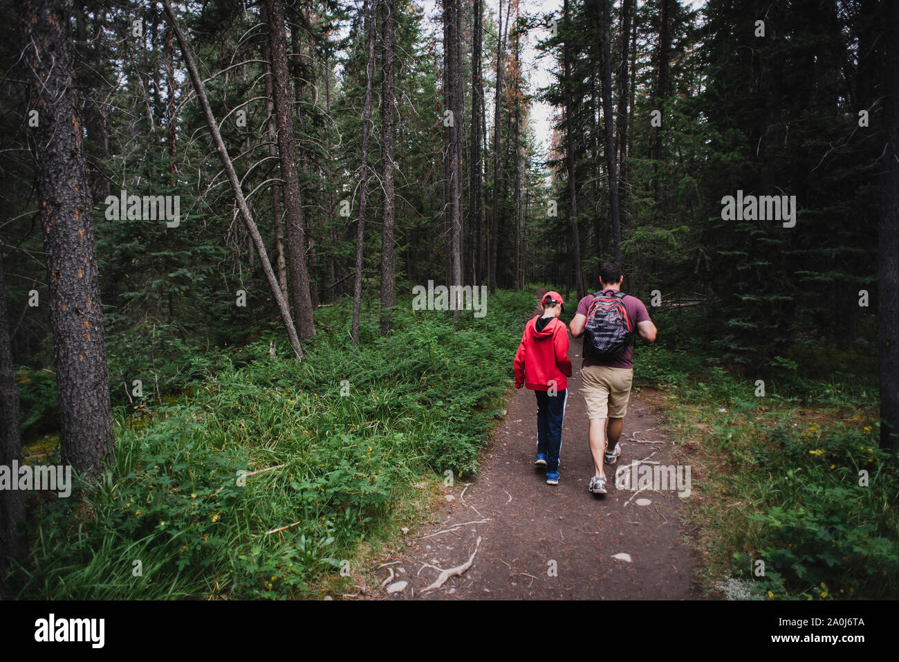 Father and son hiking along a path through the forest together. Stock Photo