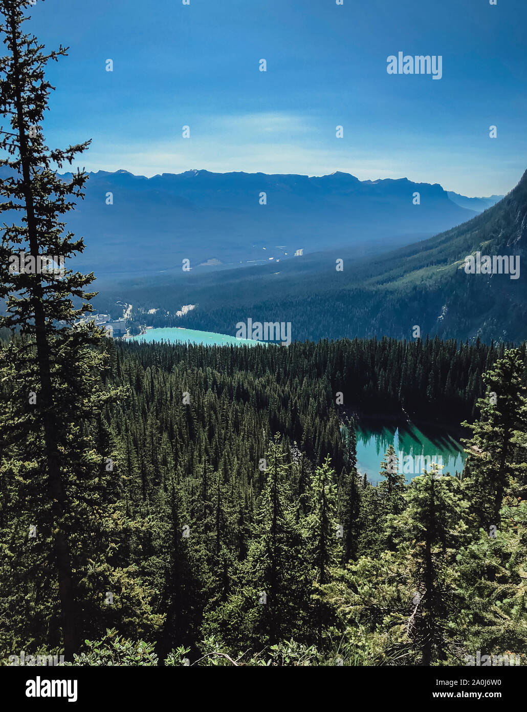 View of lakes, forest and mountains in Banff from high above. Stock Photo